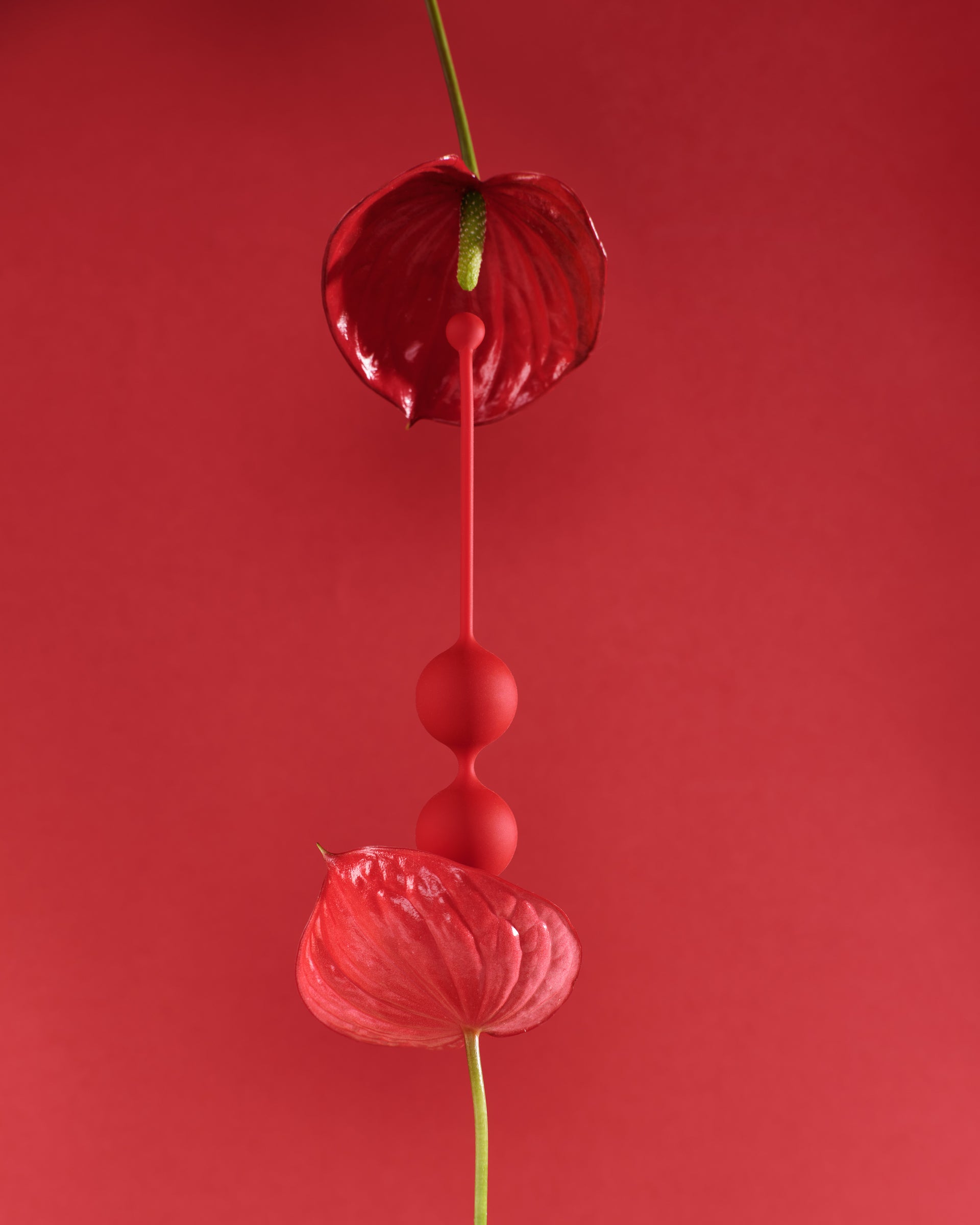 Red Whoop-de-doo Classic pelvic floor exercise beads suspended between two red anthurium flowers on a matching red background, fine art photography by Vojtech Veskrna.
